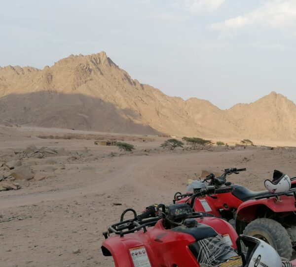 Wüstensafari mit Quad- und Geländewagen in Hurghada