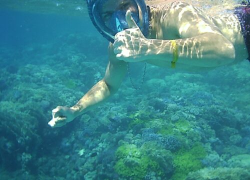 Schnorcheln in der Abu Dabbab Bay